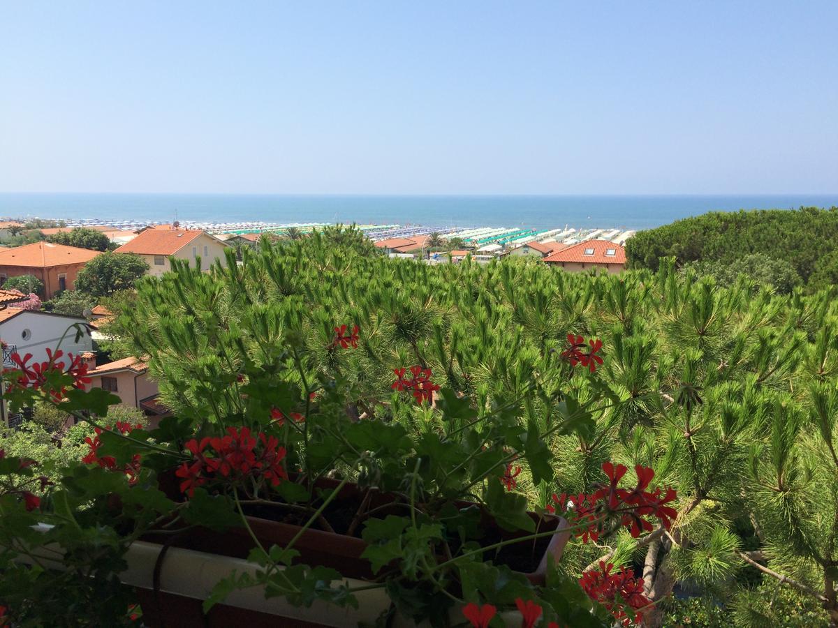 Hotel Il Caravaggio Marina di Pietrasanta Bagian luar foto